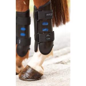 Dalmar Eventer back boot